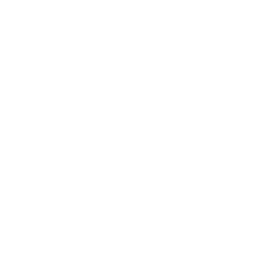 icon budget.png