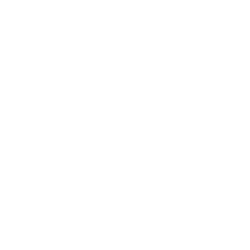 icon review.png